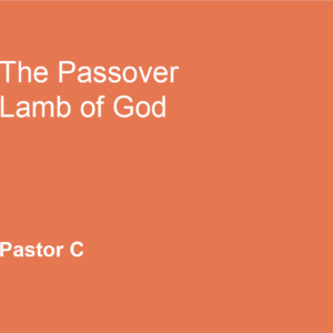 The Passover Lamb of God