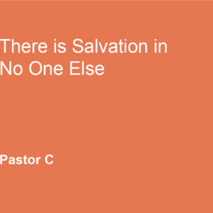 There Is Salvation In No One Esle