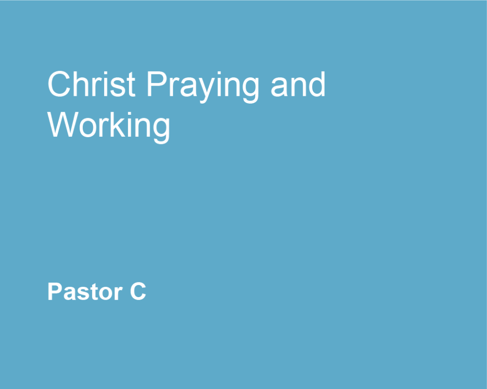 Christ Praying and Working