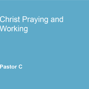 Christ Praying and Working