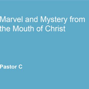 Marvel And Mystery From The Mouth Of Christ