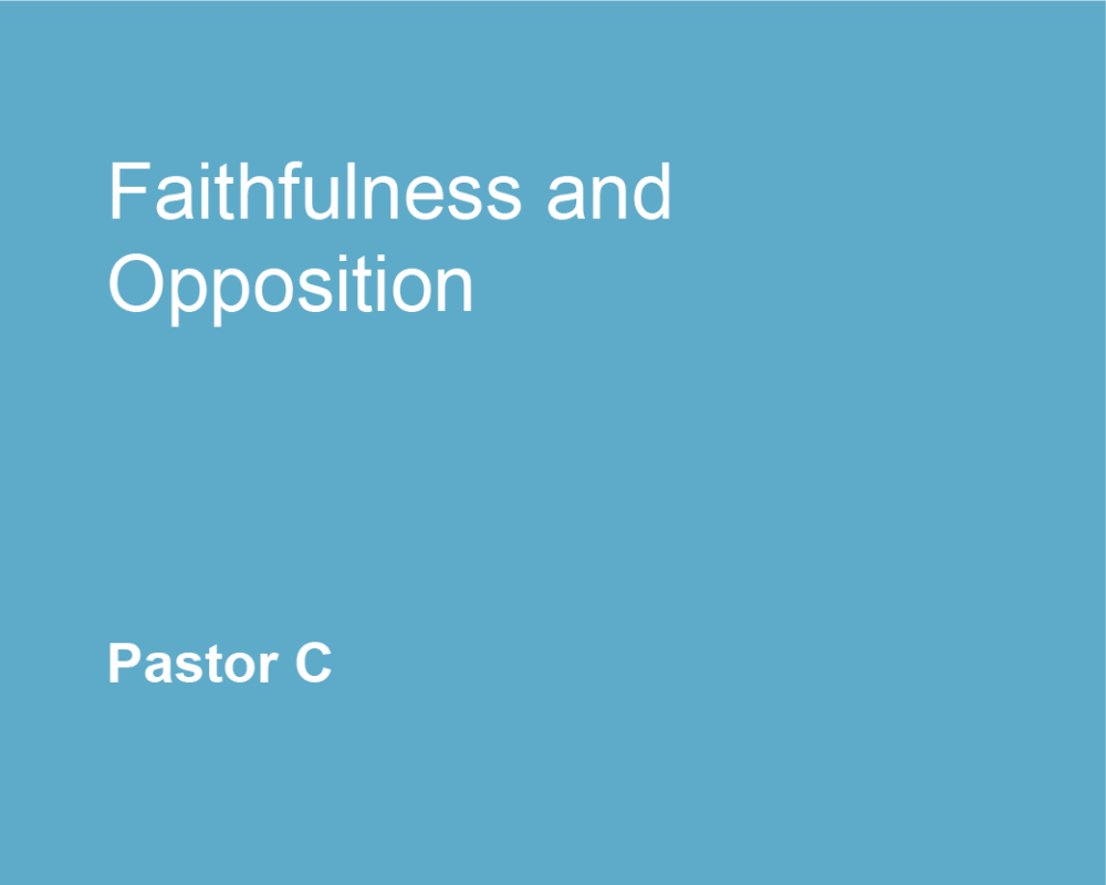 Faithfulness and Opposition