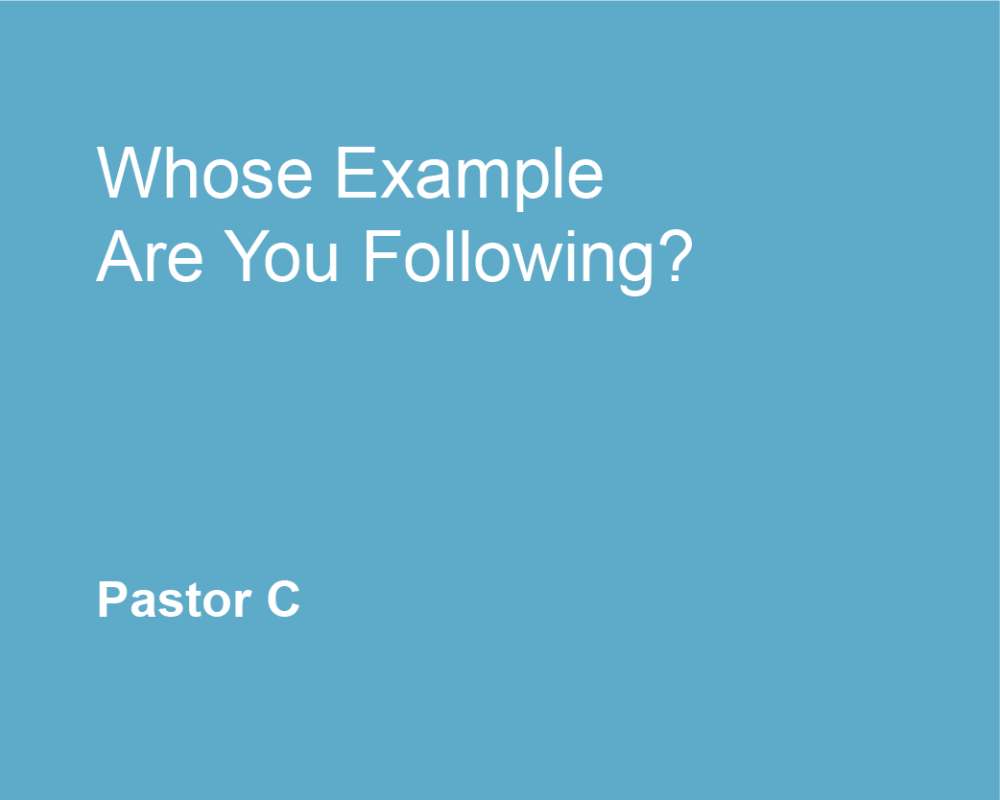 Whose Example Are You Following?